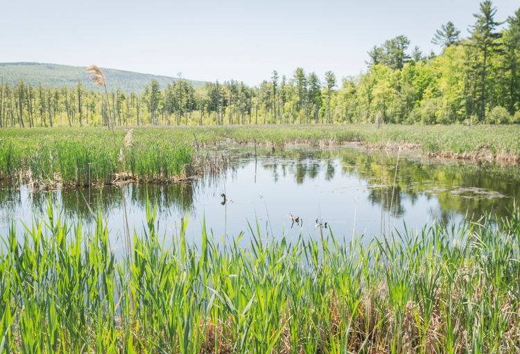 Décret n°2024-1098 du 2 décembre 2024 relatif aux schémas d’aménagement et de gestion des eaux